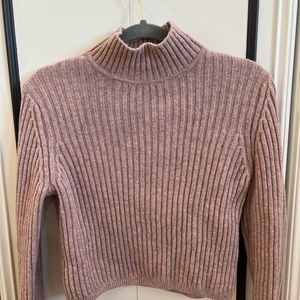 & other stories perfect condition knit cropped turtleneck in mauve